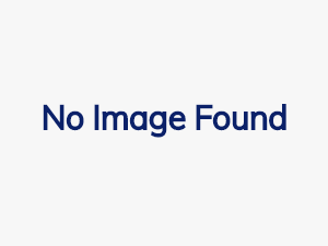 Honda Fit Shuttle 1.5 5dr